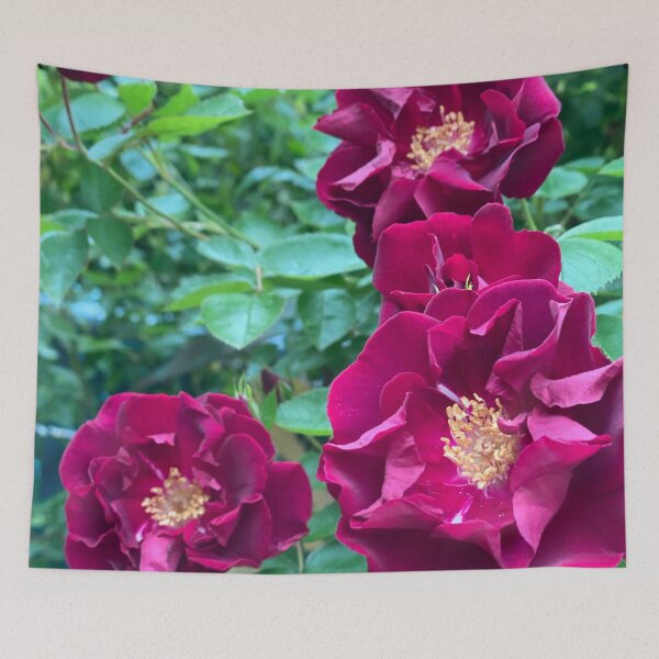 Item preview, Wild Roses designed and sold by Maureen Zaharie.