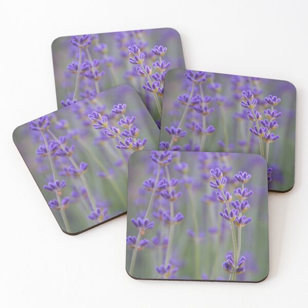Item preview, Lavender designed and sold by CarolM.