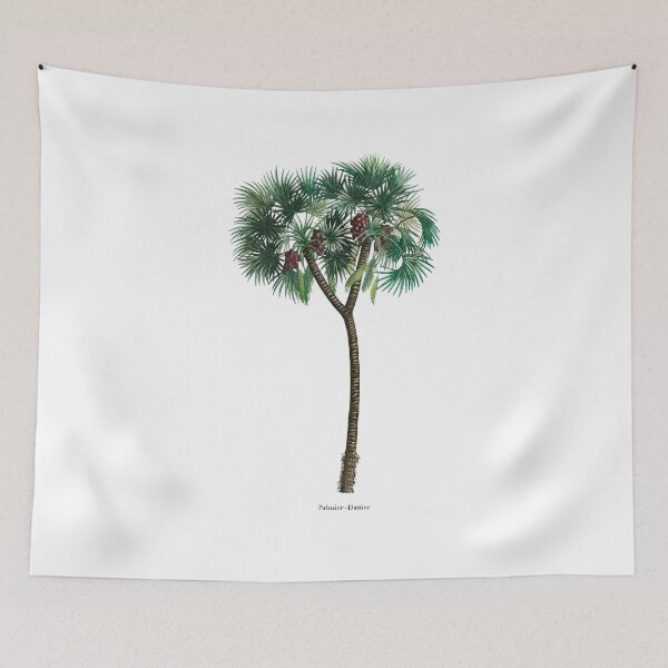 Item preview, Date palm drawing, vintage illustration designed and sold by Magicplants.