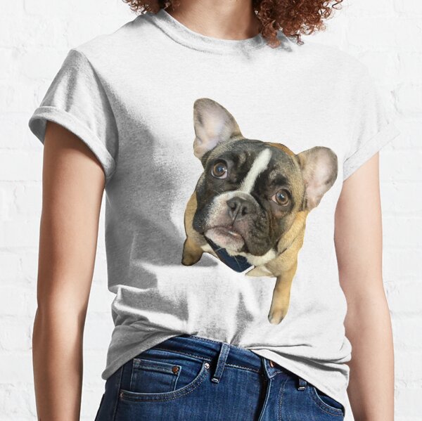 Dog Brands T Shirts Redbubble - secret codes in roblox pet trainer pet grooming club