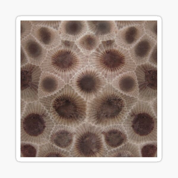 Item preview, Petoskey stone pattern, I heart the Great Lakes, smitten with the mitten designed and sold by hollycooper.
