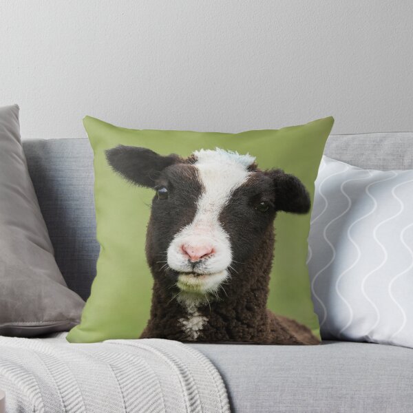 Item preview, Zwartbles Lamb designed and sold by JStanley19.