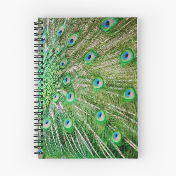 Item preview, gorgeous peacock designed and sold by VintageArtistry.