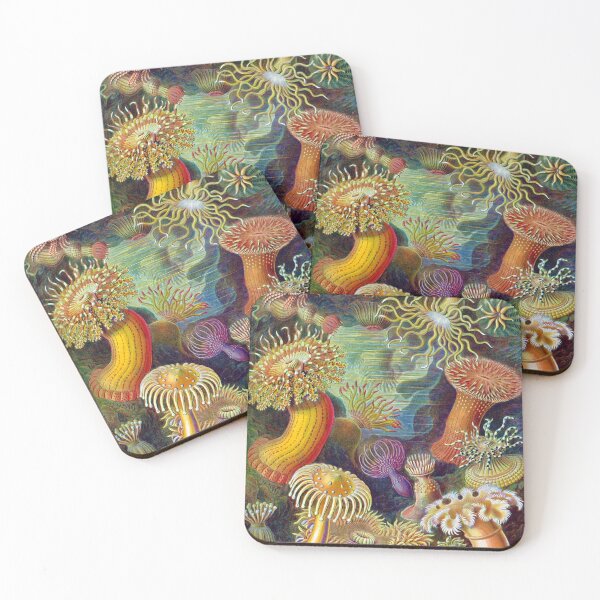 Item preview, Ernst Haeckel Actiniae Sea Anemone Genus Actinia designed and sold by digitalvintage.