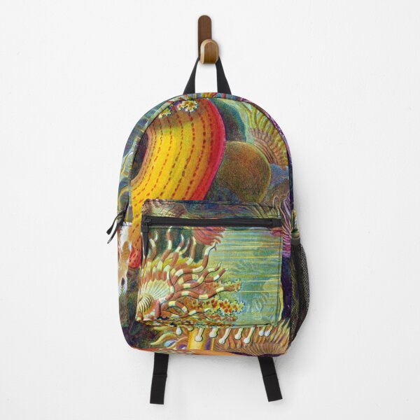 Item preview, Ernst Haeckel Actiniae Sea Anemone Genus Actinia designed and sold by digitalvintage.