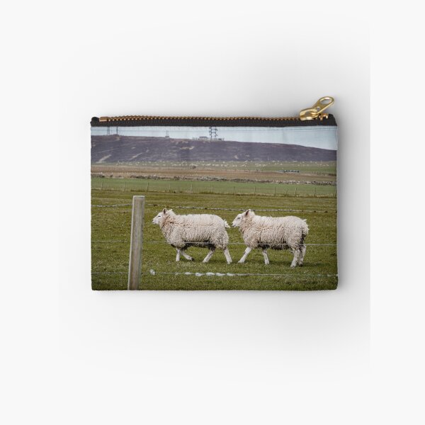 Item preview, Spring Sheeps designed and sold by CGAPhotography.