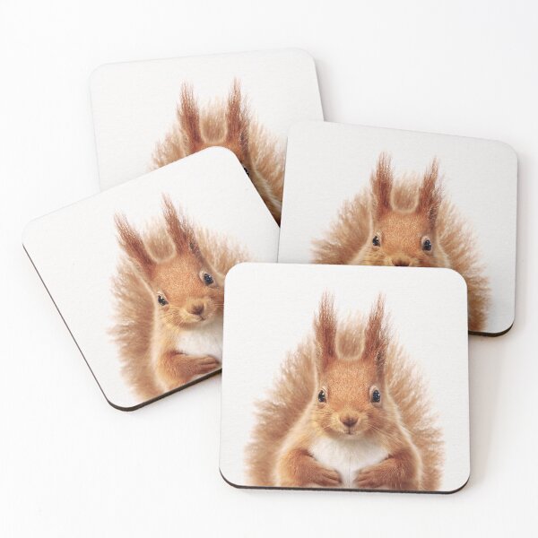 Item preview, Baby Squirrel, Baby Animals Art Print by Synplus designed and sold by synplus.