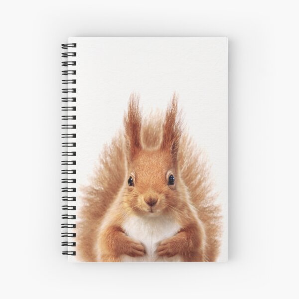 Item preview, Baby Squirrel, Baby Animals Art Print by Synplus designed and sold by synplus.
