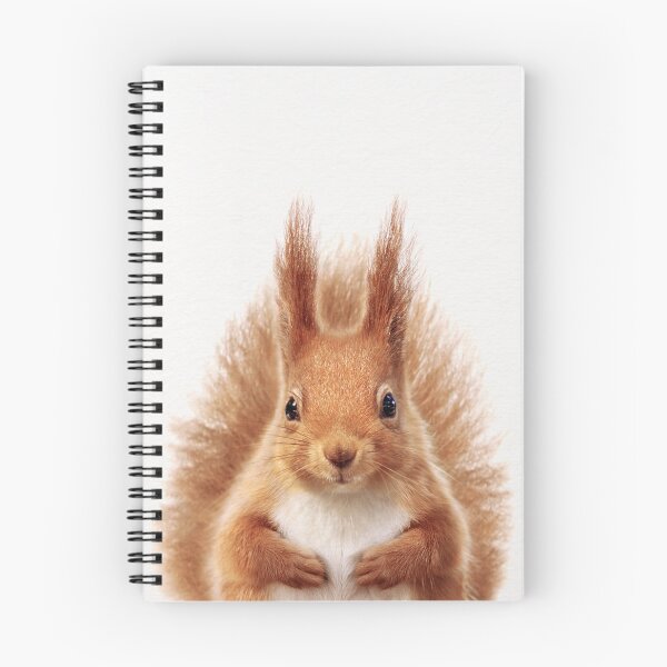 Item preview, Baby Squirrel, Baby Animals Art Print by Synplus designed and sold by synplus.