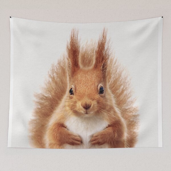 Item preview, Baby Squirrel, Baby Animals Art Print by Synplus designed and sold by synplus.