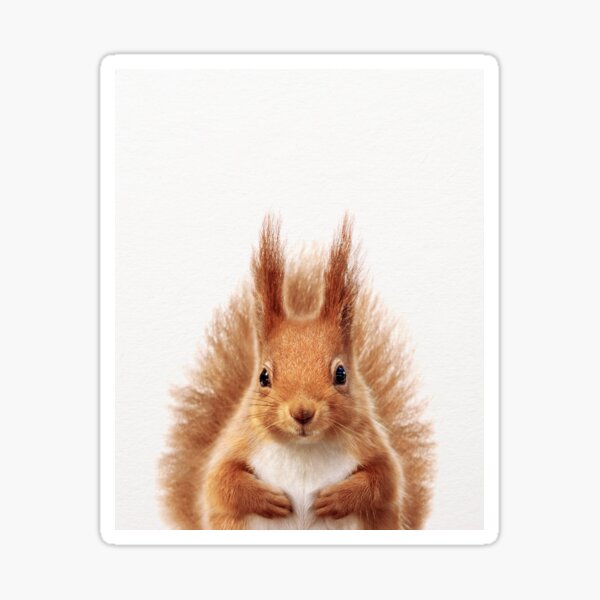 Item preview, Baby Squirrel, Baby Animals Art Print by Synplus designed and sold by synplus.