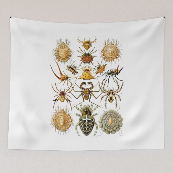 Item preview, Ernst Haeckel Arachnida Arthropods Spider Scorpion Ticks Mites designed and sold by digitalvintage.