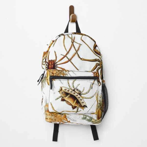 Item preview, Ernst Haeckel Arachnida Arthropods Spider Scorpion Ticks Mites designed and sold by digitalvintage.
