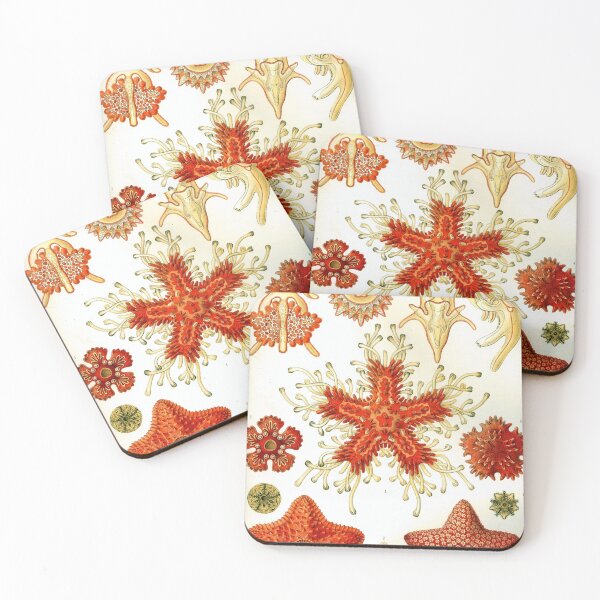 Item preview, Ernst Haeckel Asteridea Sea Star designed and sold by digitalvintage.