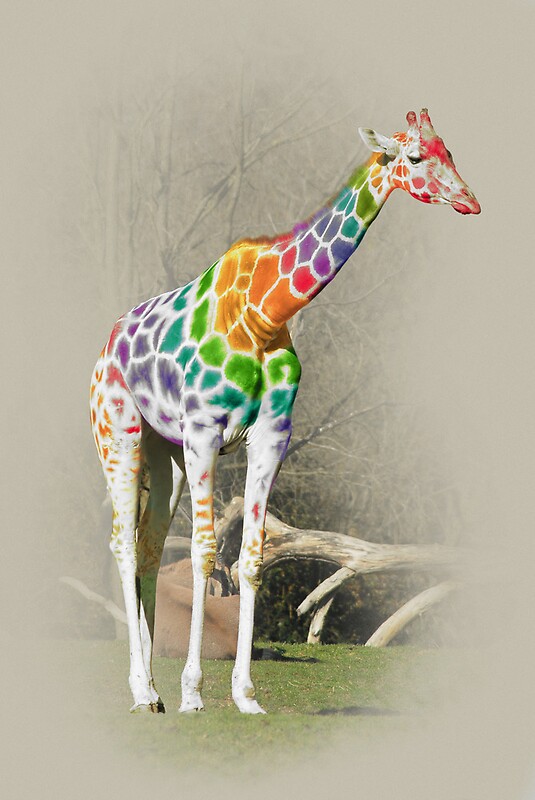"Rainbow Giraffe" by Kitty Bitty Redbubble