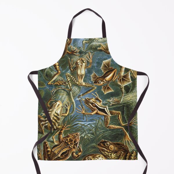 Item preview, Ernst Haeckel Batrachia Amphibians Frog Salamander designed and sold by digitalvintage.
