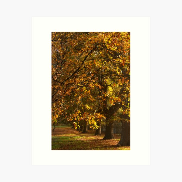 Item preview, ~ The Oaks ~ designed and sold by LeeoPhotography.