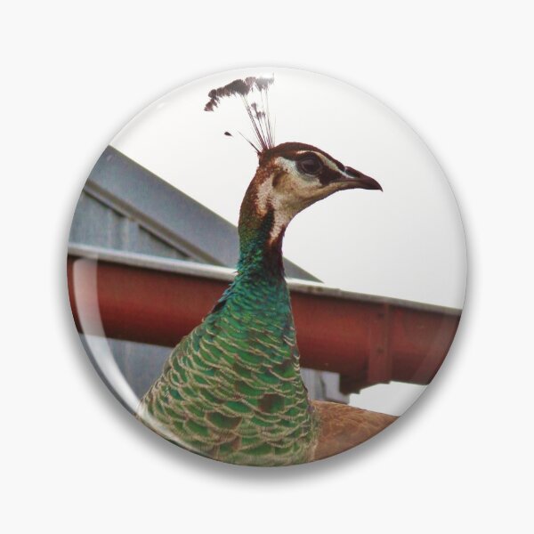 Item preview, Perching Peahen designed and sold by TheArtImp.