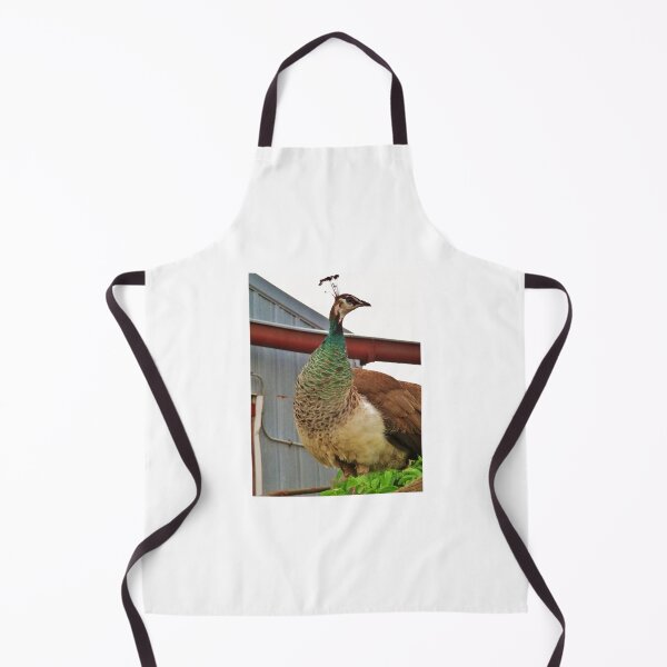 Item preview, Perching Peahen designed and sold by TheArtImp.