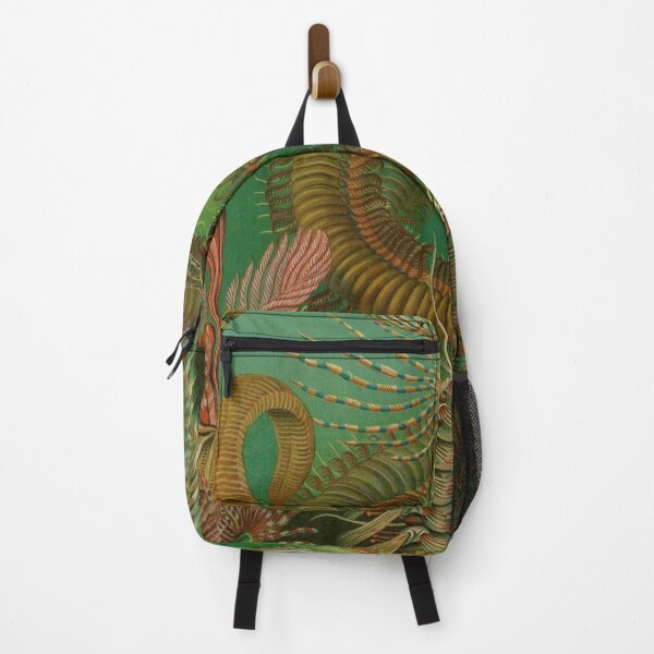Item preview, Ernst Haeckel Chaetopoda designed and sold by digitalvintage.