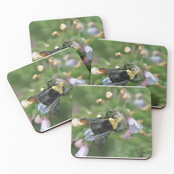 Item preview, Harbinger of Spring designed and sold by Samuel Schaar.