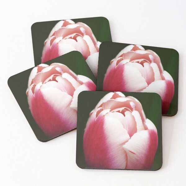 Item preview, Northwest Tulip designed and sold by Samuel Schaar.