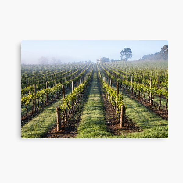 Item preview, Vine Lines designed and sold by LeeoPhotography.