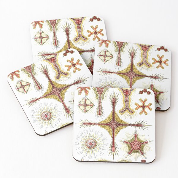 Item preview, Ernst Haeckel Discomedusae Jellyfish Scyphozoa designed and sold by digitalvintage.