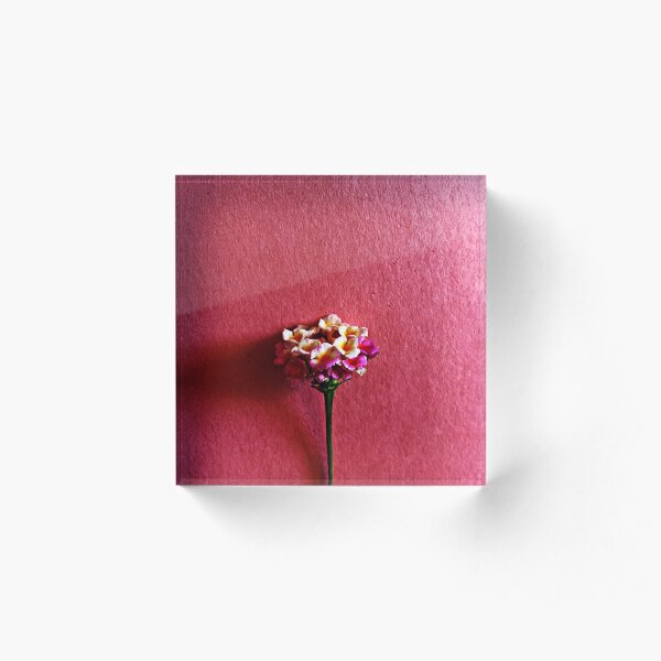 Lantana Flower Acrylic Block