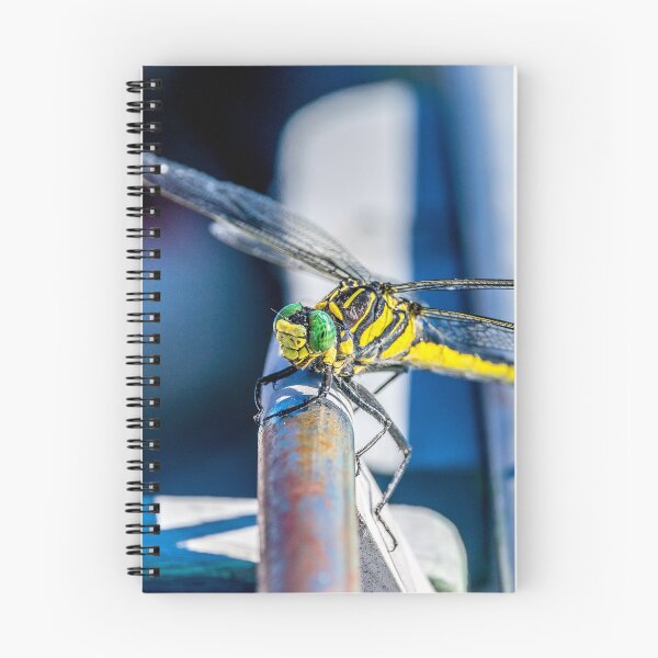 Item preview, Little Bugger designed and sold by Alex Tonetti Photography.