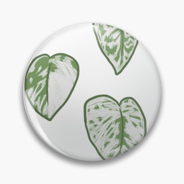 Item preview, silver pothos designed and sold by girlwhoplants.