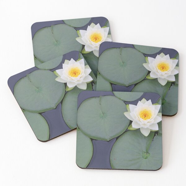 Aperçu de l'œuvre Lilly Pad Bloom créée et vendue par Samuel Schaar.