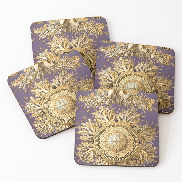 Item preview, Ernst Haeckel Discomedusae Jellyfish Scyphozoa designed and sold by digitalvintage.