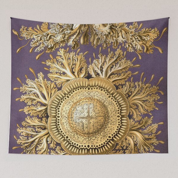 Item preview, Ernst Haeckel Discomedusae Jellyfish Scyphozoa designed and sold by digitalvintage.