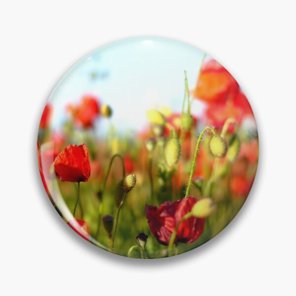 Aperçu de l'œuvre Coquelicots dans le Dorset créée et vendue par bernwebb.