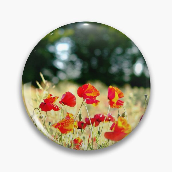 Item preview, Poppies in bright dorset sunshine designed and sold by bernwebb.