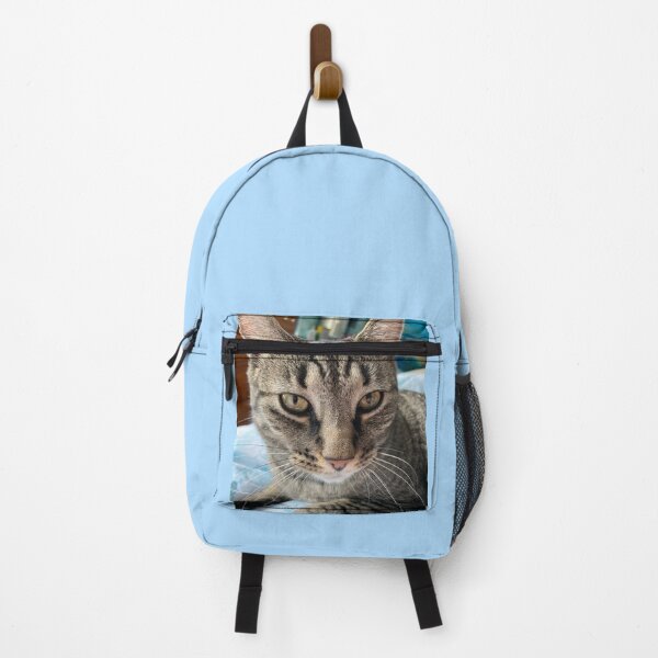 Item preview, Tabby Face designed and sold by Amanda1775.