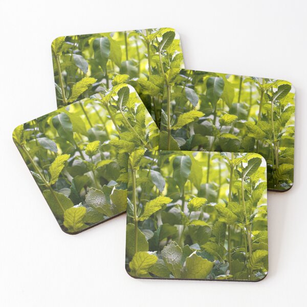 Item preview, Mint designed and sold by Natalie Stark.