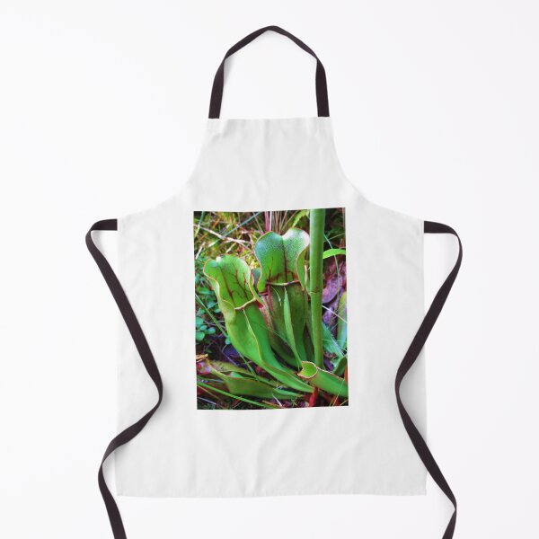 Item preview, Pitcher Plant 2 designed and sold by TheArtImp.
