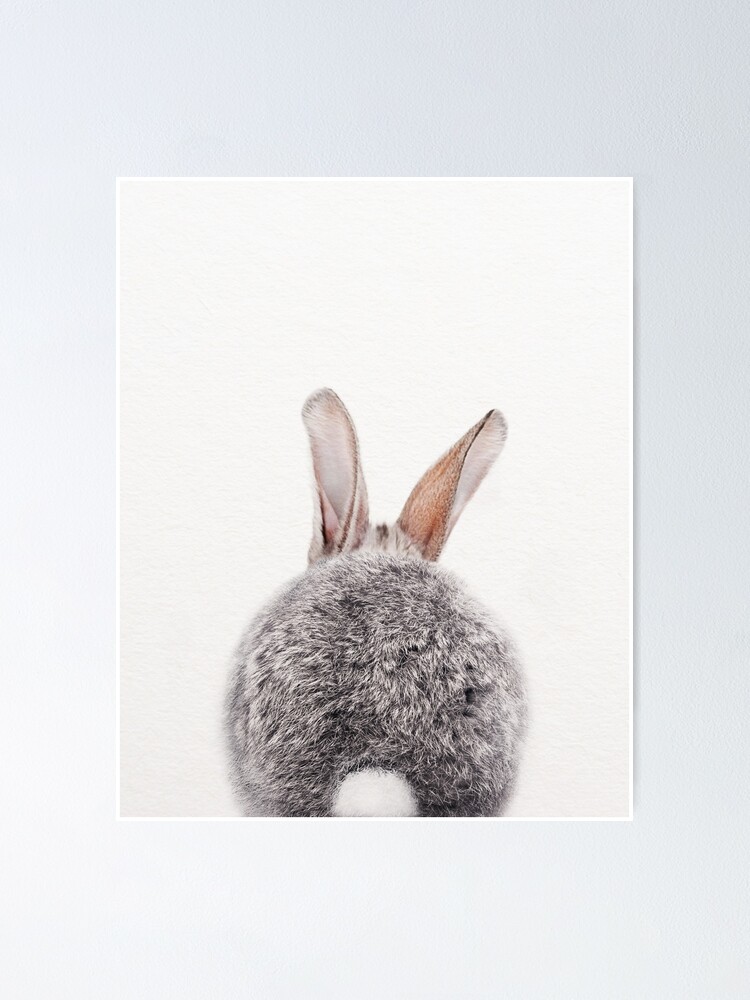 Poster Queue De Lapin Gris Bebe Lapin Impression D Art Bebe Animaux Par Synplus Par Synplus Redbubble