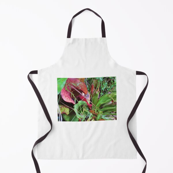 Item preview, Pitcher Plant 1 designed and sold by TheArtImp.