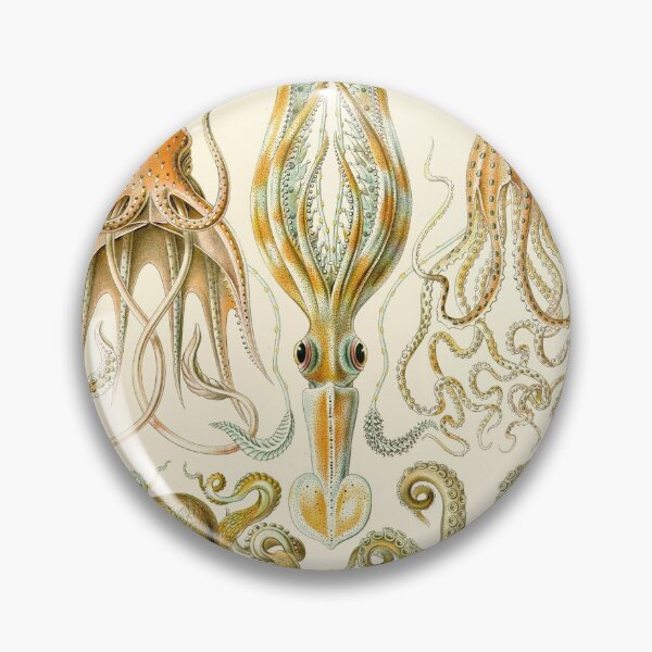 Item preview, Ernst Haeckel Gamochonia Octopus designed and sold by digitalvintage.