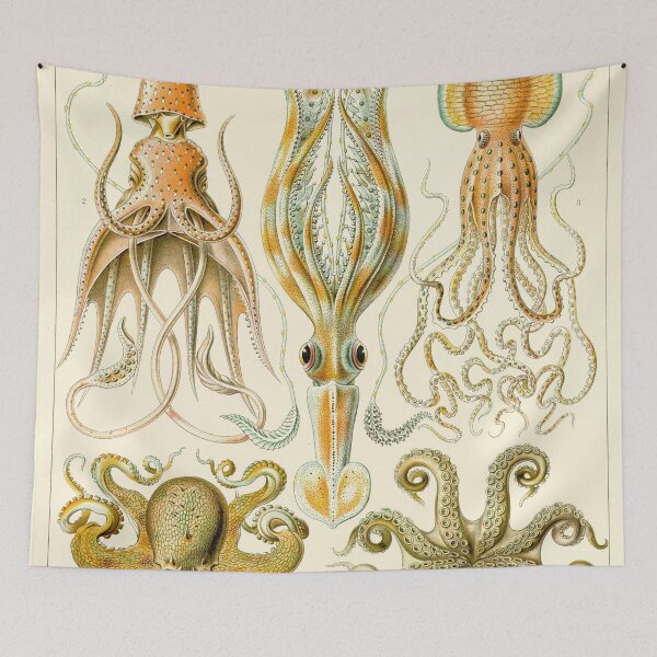 Item preview, Ernst Haeckel Gamochonia Octopus designed and sold by digitalvintage.