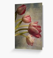 Tulips Greeting Card