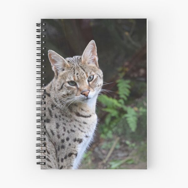 Artikelvorschau, Savannah Cat entworfen und verkauft von InterestingImag.