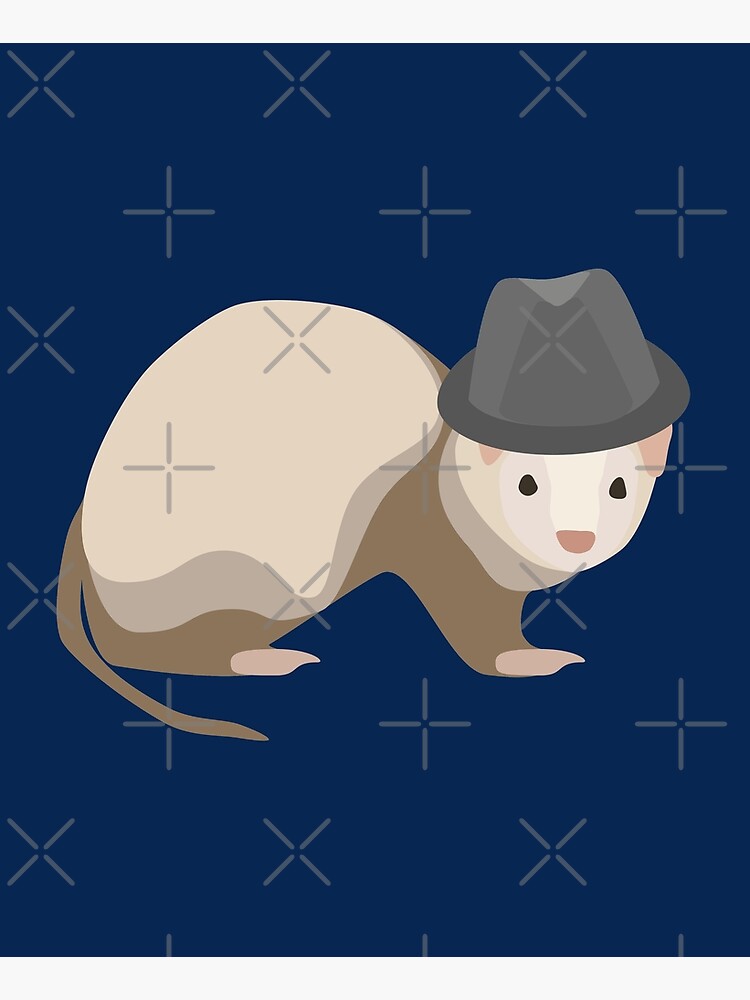 NDVH Ferret Wearing a Trilby by nikhorne