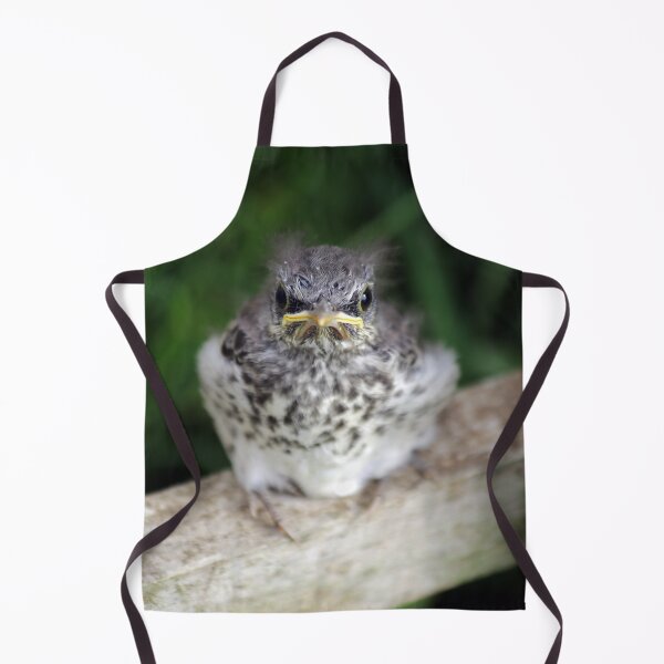 Item preview, Empty Nest designed and sold by StampCity.