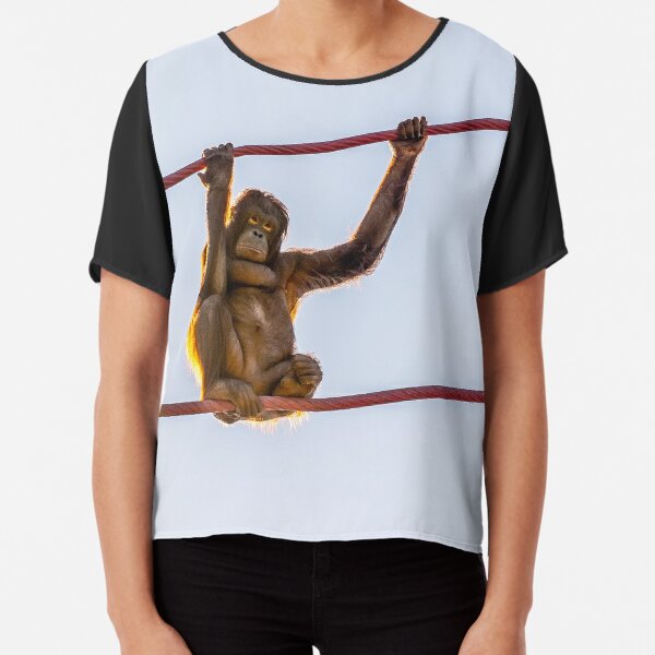 Camisetas Cara De Orangutan Redbubble - el babuino wild savannah roblox gameplay español