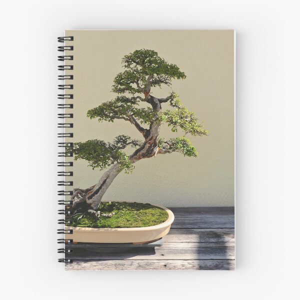 Item preview, Bonsai Bonanza designed and sold by Alex Tonetti Photography.