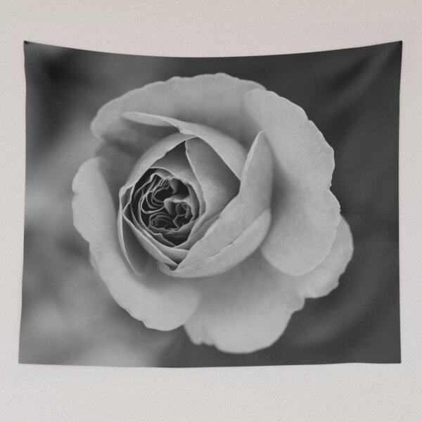 Item preview, St. Tropez Rose in Black and White designed and sold by StampCity.